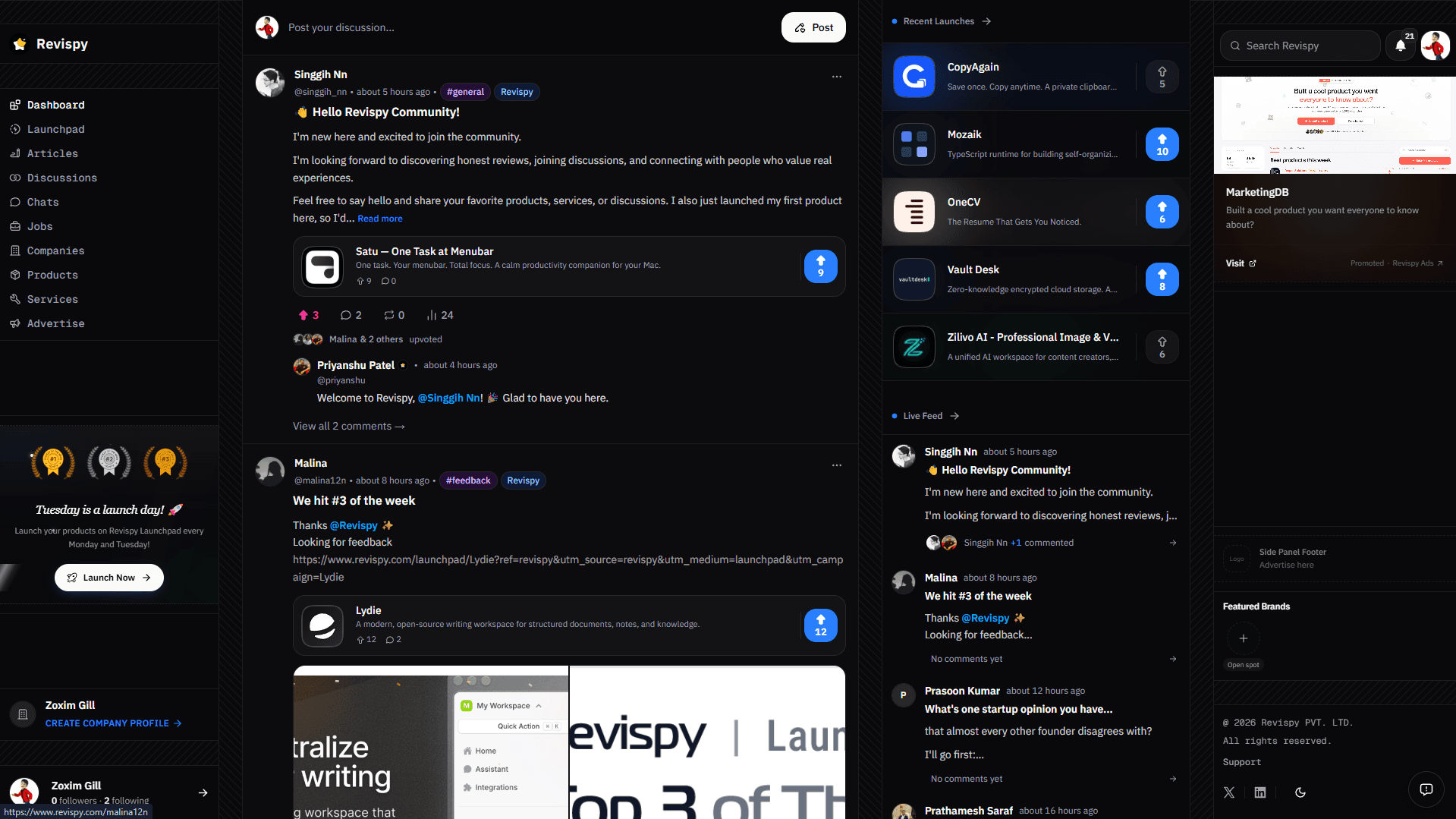 Revispy - Beyond a LinkedIn Profile