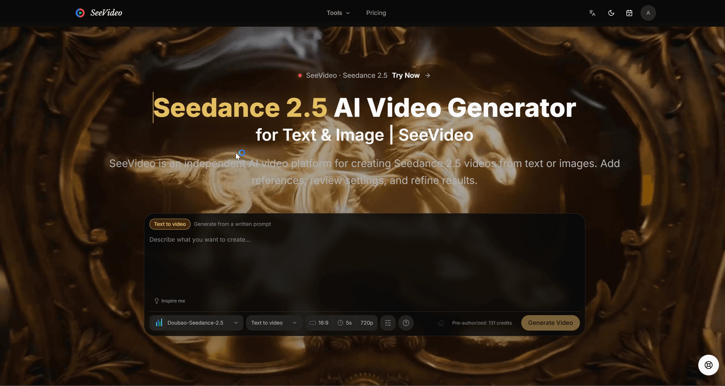 SeeVideo